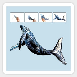 whale Sticker